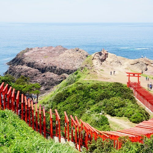 【ふるさと納税】 第10回JAL向津具ダブルマラソン 出場権 「棚田ウォーク」 「シングルフルマラソン」 「ダブルフルマラソン」 (1223)