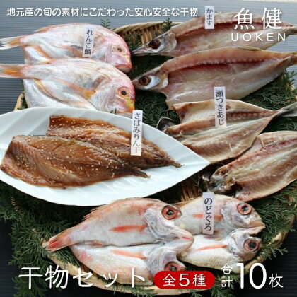 一夜干し 干物 アジ さばみりん 魚健 干物セット 5種 (1121)