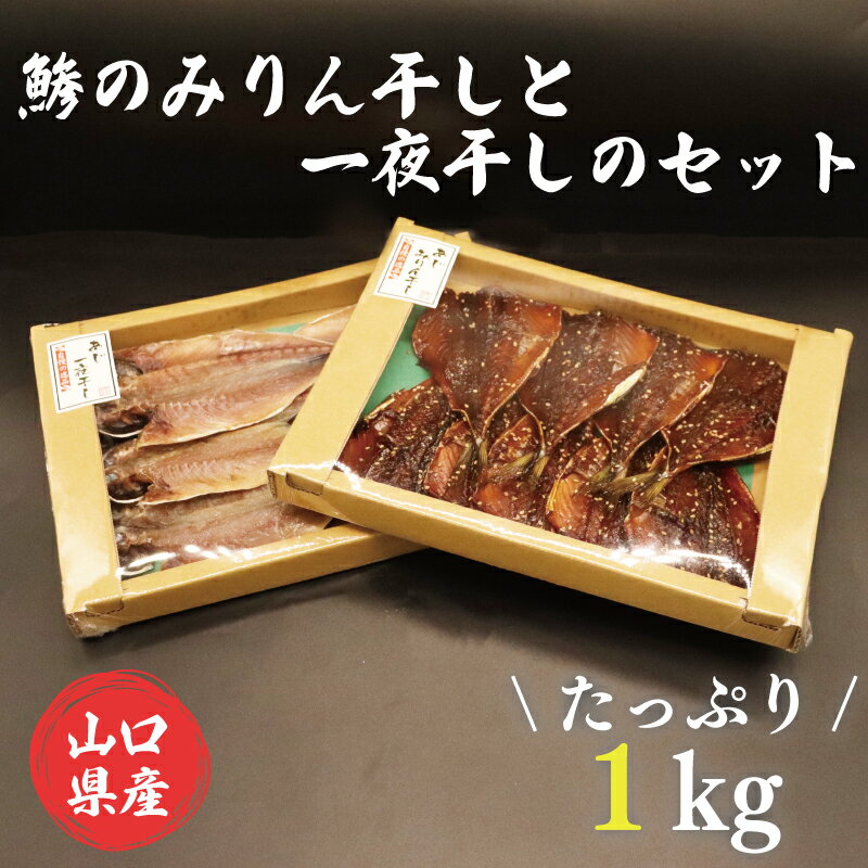 山口県産 鯵のみりん干しと一夜干しのセット たっぷり 合計1kg アジ開き みりん あじ(10112)