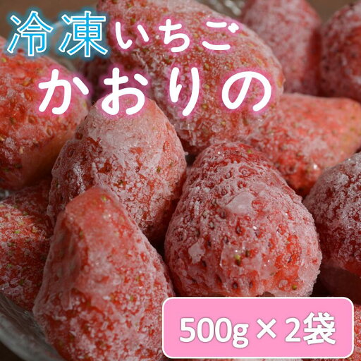 【ふるさと納税】苺 いちご 長門産 冷凍いちご 1kg 500g×2袋「かおりの」フルーツ(1019) 【ふるさと納税】苺 いちご 長門産 冷凍いちご 1kg 500g×2袋「かおりの」フルーツ(1019)