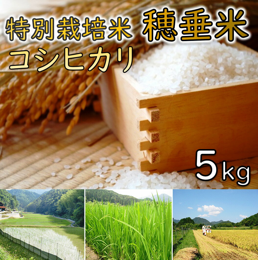 米 精米 白米 特別栽培米 穂垂米 「コシヒカリ」 5kg [令和5年産](1024)