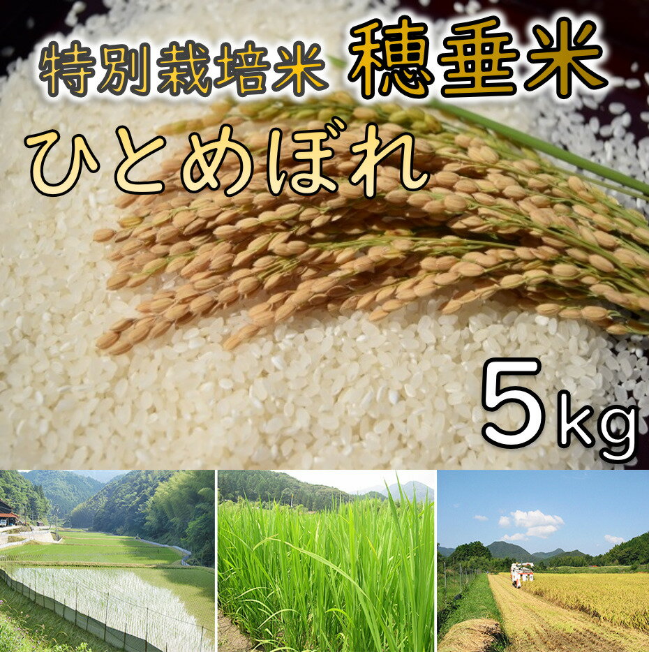 米　精米　白米　特別栽培米　穂垂米　「ひとめぼれ」　5kg　【令和5年産】(1026)