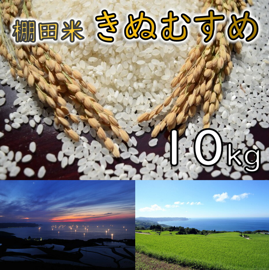 ※令和6年度産予約受付※ 米　精米　白米　棚田米　「きぬむすめ」　10kg (1028)