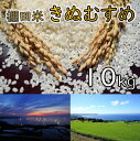 【ふるさと納税】※令和6年度産予約受付※ 米 精米 白米 棚田米 「きぬむすめ」 10kg (1028)