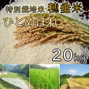 【ふるさと納税】米　精米　白米　特別栽培米　穂垂米　「ひとめ