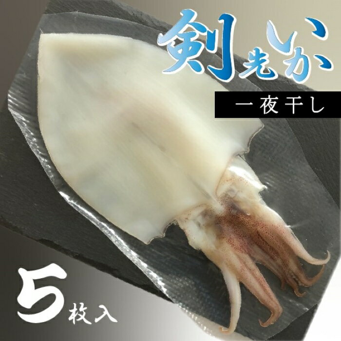 11位! 口コミ数「0件」評価「0」剣先イカ 一夜干し 山口県産 いか 　イカ 烏賊 5枚セット 真空パック 長門市 (10057)