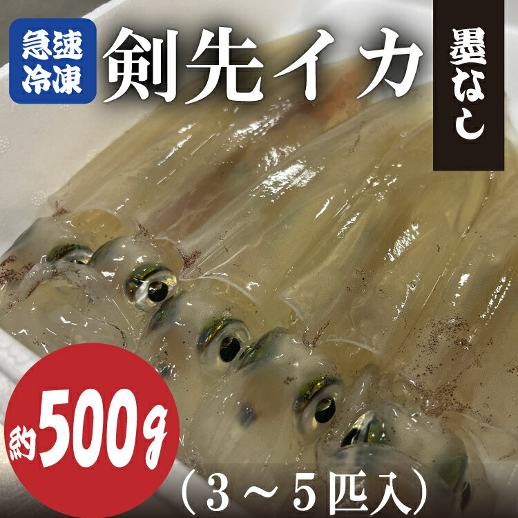 【ふるさと納税】剣先イカ 冷凍 墨なし 急速冷凍 真空パック 約500g 3～5杯 長門市 (10067)