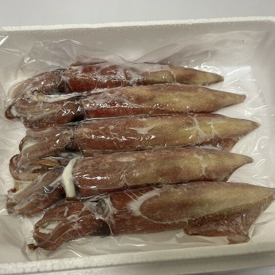 【ふるさと納税】剣先イカ 冷凍 墨なし 急速冷凍 真空パック 約500g 3～5杯 長門市 (10067)