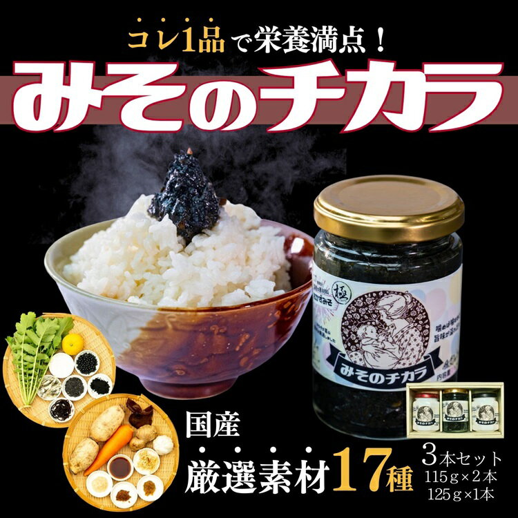 5位! 口コミ数「0件」評価「0」子宝の栄養おかず味噌 「みそのチカラ」3本セット (10090)