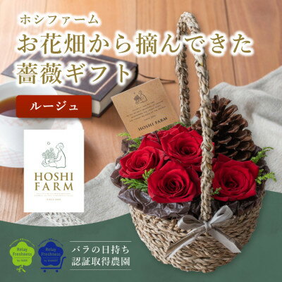 ホシファーム　『お花畑から摘んできた薔薇ギフト』ルージュ【配送不可地域：離島・北海道・沖縄県】【1465210】