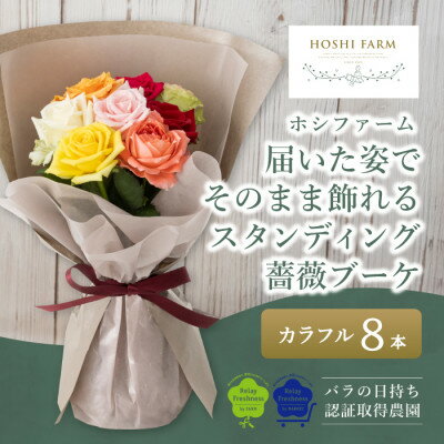 産業用大型機器人気ランク14位　口コミ数「0件」評価「0」「【ふるさと納税】ホシファーム　届いた姿でそのまま飾れるスタンディング薔薇ブーケ　カラフル8本【配送不可地域：離島・北海道・沖縄県】【1465217】」