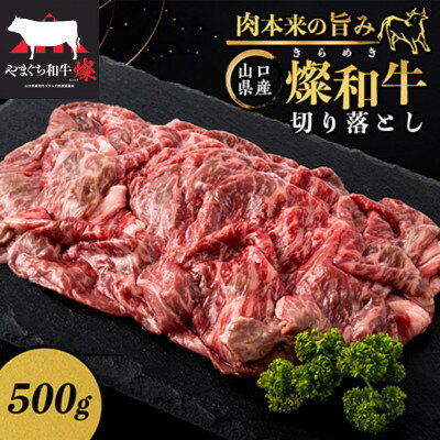 山口県産 燦(きらめき)和牛切り落とし 500g[配送不可地域:離島]