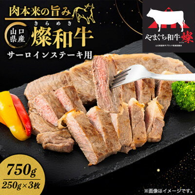 燦 きらめき 和牛サーロインステーキ用 750g