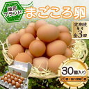 【ふるさと納税】【毎月定期便】「地元ブランド」まごころ卵30個入り(卵25個と割れ保障5個) 鶏卵(生食用)全3回【配送不可地域:離島】【4070038】