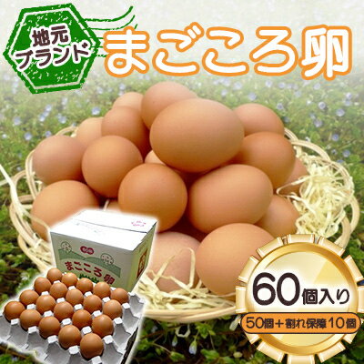【ふるさと納税】「地元ブランド」まごころ卵60個入り(卵50個と割れ保障10個) 鶏卵(生食用)【配送不可地域:離島】【1008774】
