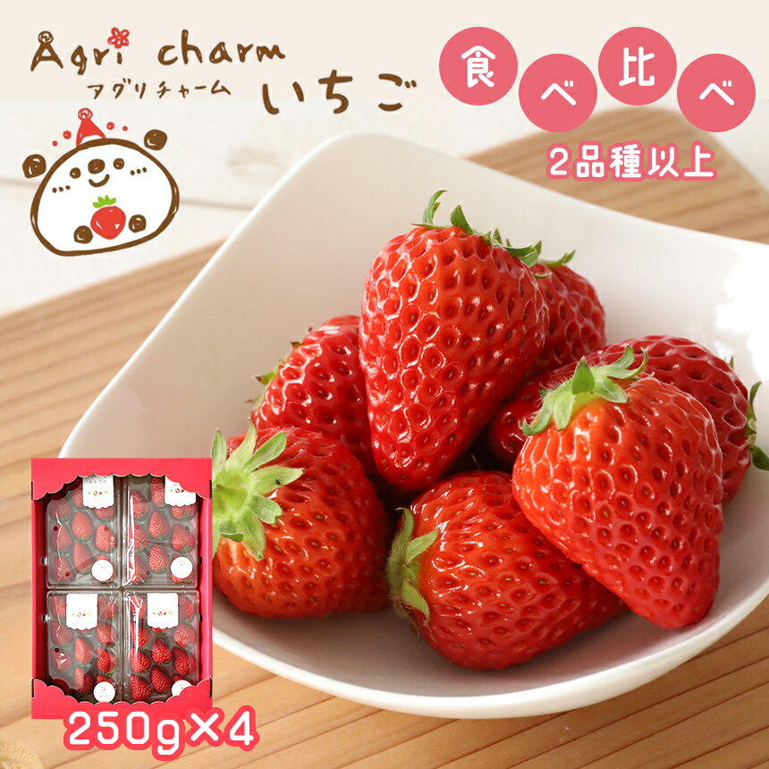 【ふるさと納税】 秋吉台のミネラルたっぷり!! Agri charmのいちご 食べ比べセット (2品種以上×4パック) ＜発送期間：2月下旬以降 ※順次発送＞ ｜ いちご 苺 イチゴ フルーツ 果物 食べ比べ 美祢市 山口県 秋吉台