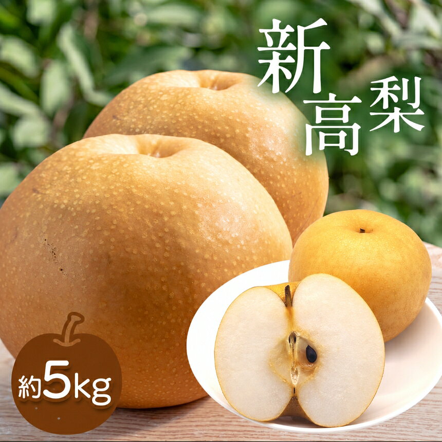 【ふるさと納税】 芳醇な香りと上品な甘さ 新高梨 約5kg ＜ 2026年10月中頃より順次発送 ＞ ｜ 梨 なし 新高梨 5kg 果物 果実 フルーツ 大きい 和梨 山口県 美祢市 美祢 特産品 期間限定 季節限定 先行予約 f352136-mine-10000119 山口県美祢市 パッケージ画像