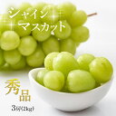 【ふるさと納税】 ジューシーな味わい シャインマスカット 秀品 3房 先行予約 < 2025年8月下旬 頃 より順次発送予定 > | フルーツ 果物 葡萄 ぶどう シャインマスカット 果実 糖度 甘い 期間限定 山口県 美祢市 美祢