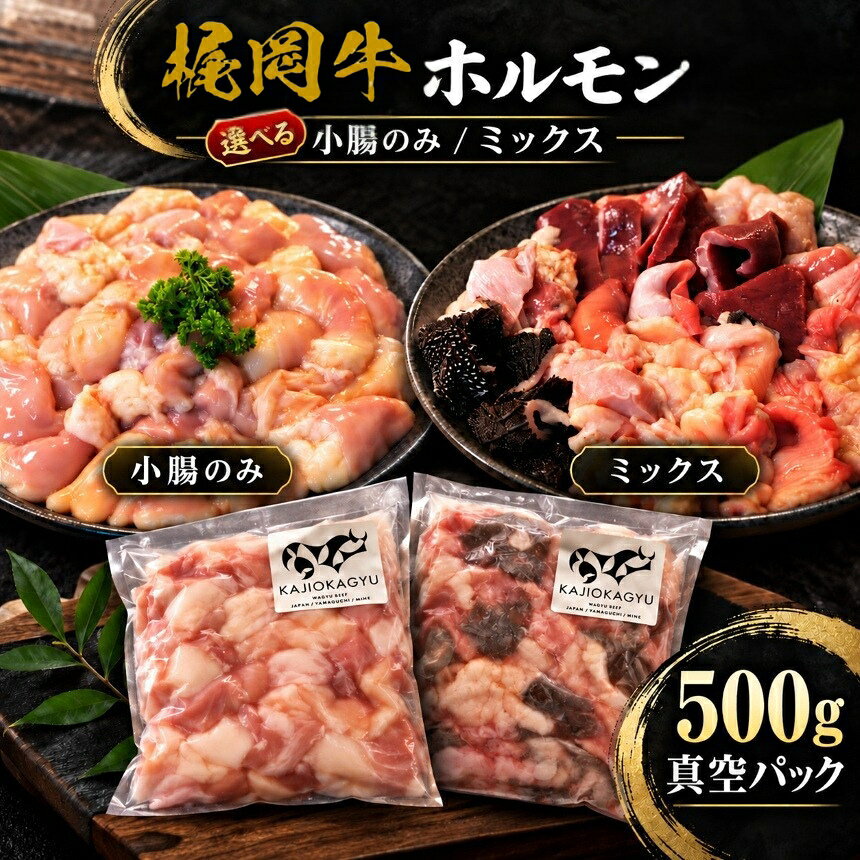 【ふるさと納税】 ( 梶岡牛 ) ホルモン ・ 小腸 のみ または ホルモン ・ ミックス 500g 真空パック ｜ 選べる 国産梶岡牛 希少 ホルモン ぷりぷり 食感 濃厚 旨み 焼肉 もつ鍋 もつ モツ 冷凍 特産品 山口 美祢 美祢市