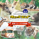 【ふるさと納税】 秋吉台サファリランド 年間フリーパス引換券(小人) 楽天ふるさと 納税 山口県 お礼の品 返礼品 山口 アウトドア 体験 チケット 食事券 入場券 年間パスポート 動物 えさやり 餌やり ふれあい 動物園 子供 こども 子ども 家族 支援 年パス 1