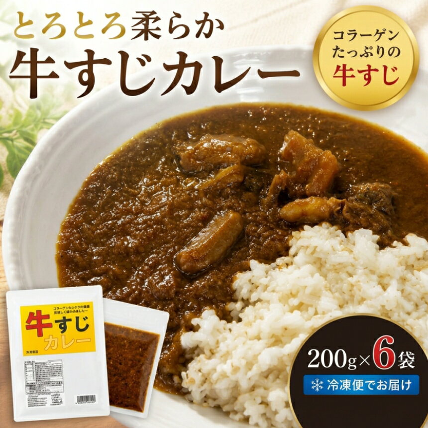 Rakuten - 【ふるさと納税】とろとろ 柔らか 牛すじ カレー ( 200g × 6袋 ) ｜ カレー 牛すじ 柔らか やわらか コラーゲン 牛肉 肉 にく 山口県 美祢市 美祢 1200g 1.2kg