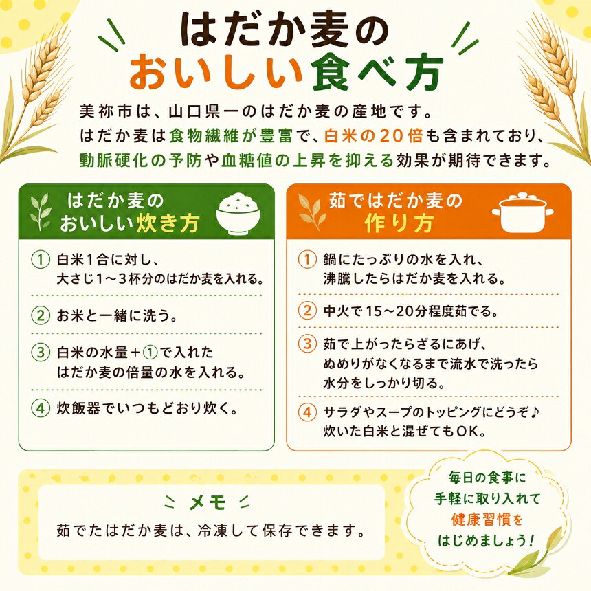 【ふるさと納税】 はだか麦 3袋 お試しセット/ 5袋セット｜ 麦 はだか麦 セット ヘ...
