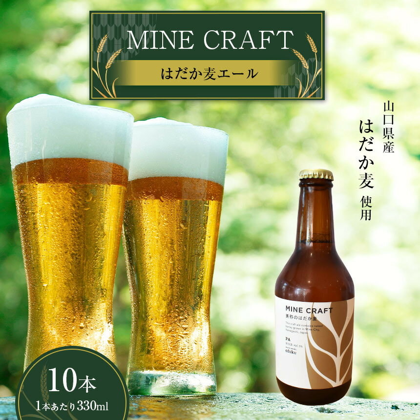 【ふるさと納税】 美祢産 はだか麦でつくった地ビール 『はだか麦エール』 麦 地ビール はだか麦 麦芽 ヘルシーフード 山口 美祢 特産品