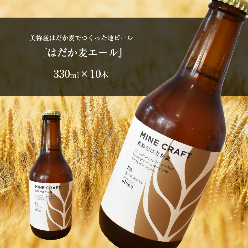 【ふるさと納税】 美祢産 はだか麦でつくった地ビール 『はだか麦エール』 麦 地ビール はだか麦 麦芽 ヘルシーフード 山口 美祢 特産品