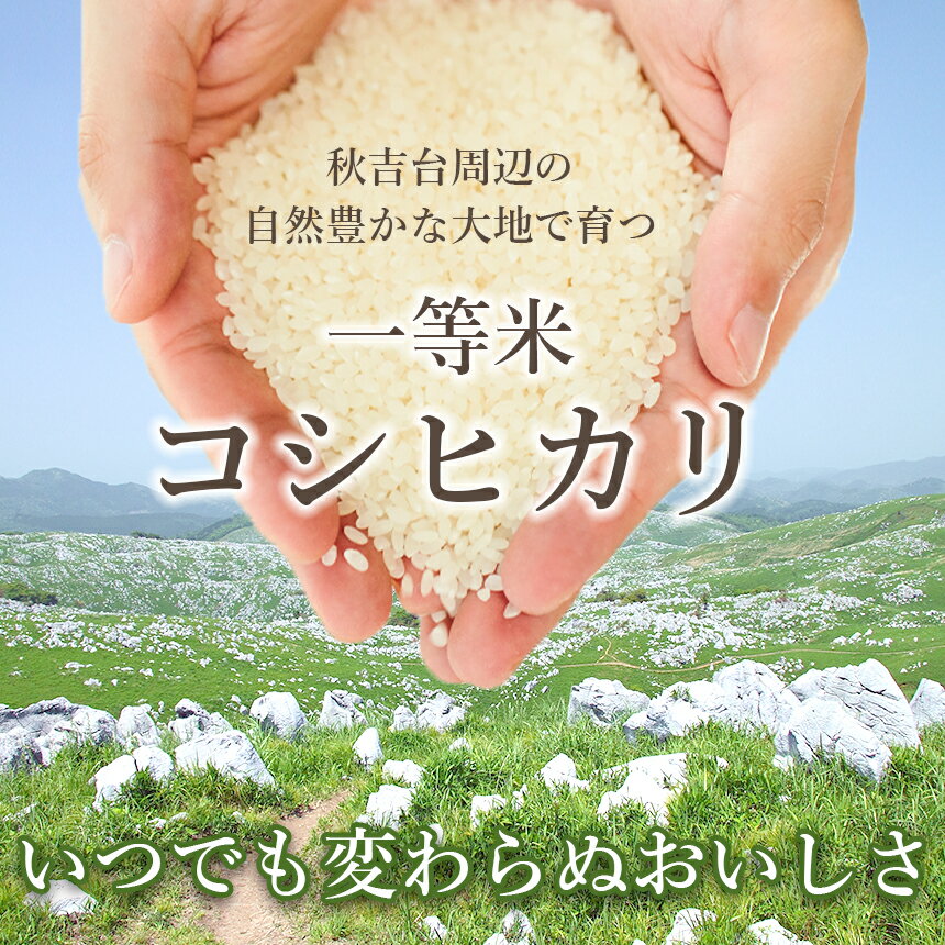 【ふるさと納税】 令和7年産 無洗米 金太郎飴生産米 コシヒカリ 山口美祢産 2kg / 5kg ｜ 令和7年産 米 白米 コシヒカリ 無洗米 山口 美祢市 美祢 特産品 2kg 5kg