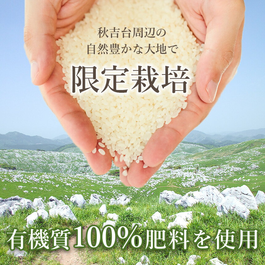 サンプル画像3