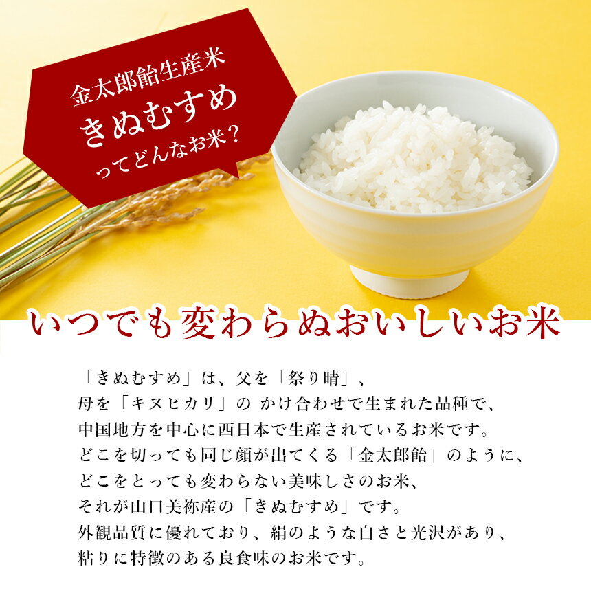 【ふるさと納税】 令和7年産 無洗米 金太郎飴生産米 きぬむすめ 山口美祢産 2kg / ...