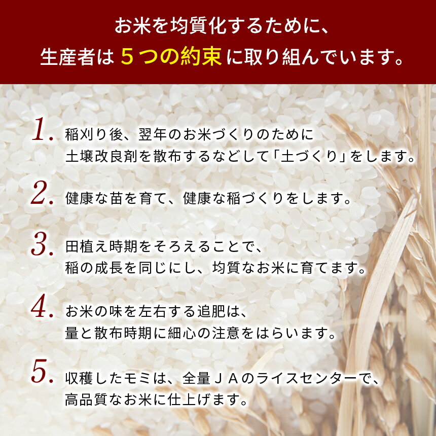 【ふるさと納税】 令和7年産 無洗米 金太郎飴生産米 きぬむすめ 山口美祢産 2kg / ...