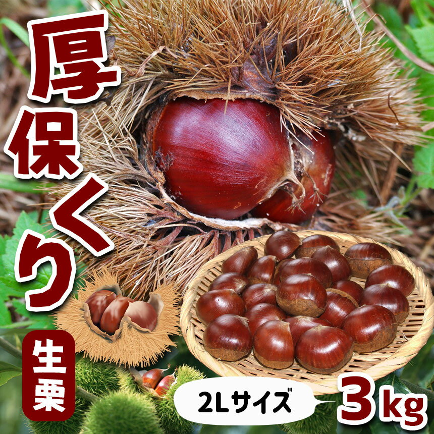 sakaki様専用出品】熊本県産栗Lサイズ1.5Kg以上 6ekcnNfYUP