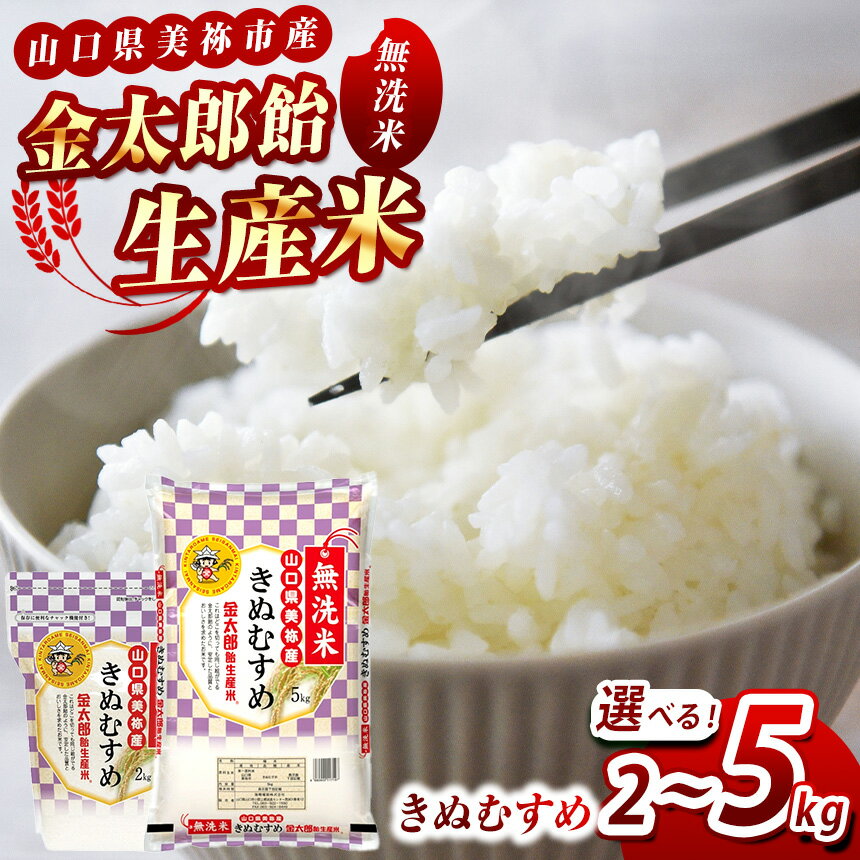 【ふるさと納税】令和7年産無洗米金...
