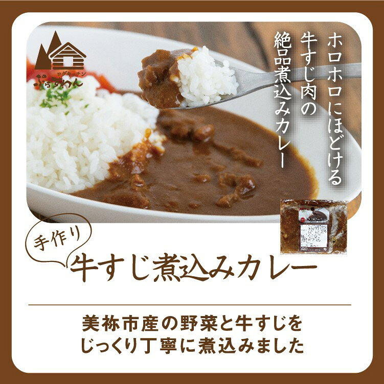 【ふるさと納税】 手作り 牛すじ煮込みカレー＆ベーコンとトマトのパスタソース 【冷凍】 ｜ 煮込み カレー 美祢市産 野菜 牛すじ パスタソース トマトソース 惣菜 セット 詰め合わせ 冷凍 特産品 山口 美祢市 美祢 f352136-mine-10000301 山口県美祢市 サンプル画像3