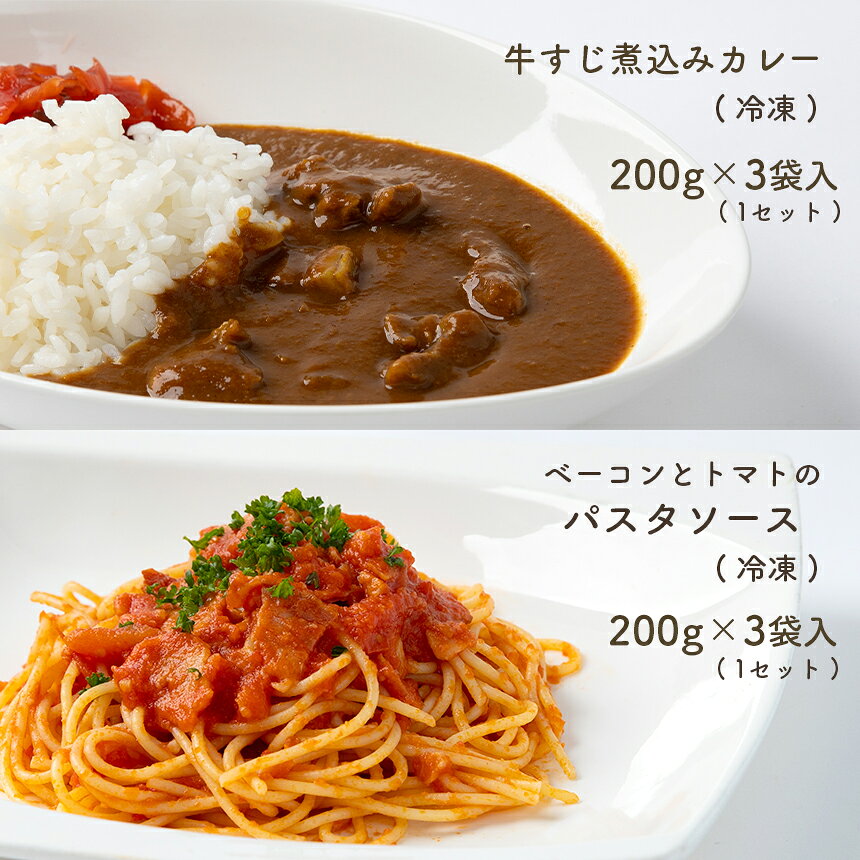 【ふるさと納税】 手作り 牛すじ煮込みカレー＆ベーコンとトマトのパスタソース 【冷凍】 ｜ 煮込み カレー 美祢市産 野菜 牛すじ パスタソース トマトソース 惣菜 セット 詰め合わせ 冷凍 特産品 山口 美祢市 美祢 f352136-mine-10000301 山口県美祢市 サンプル画像2