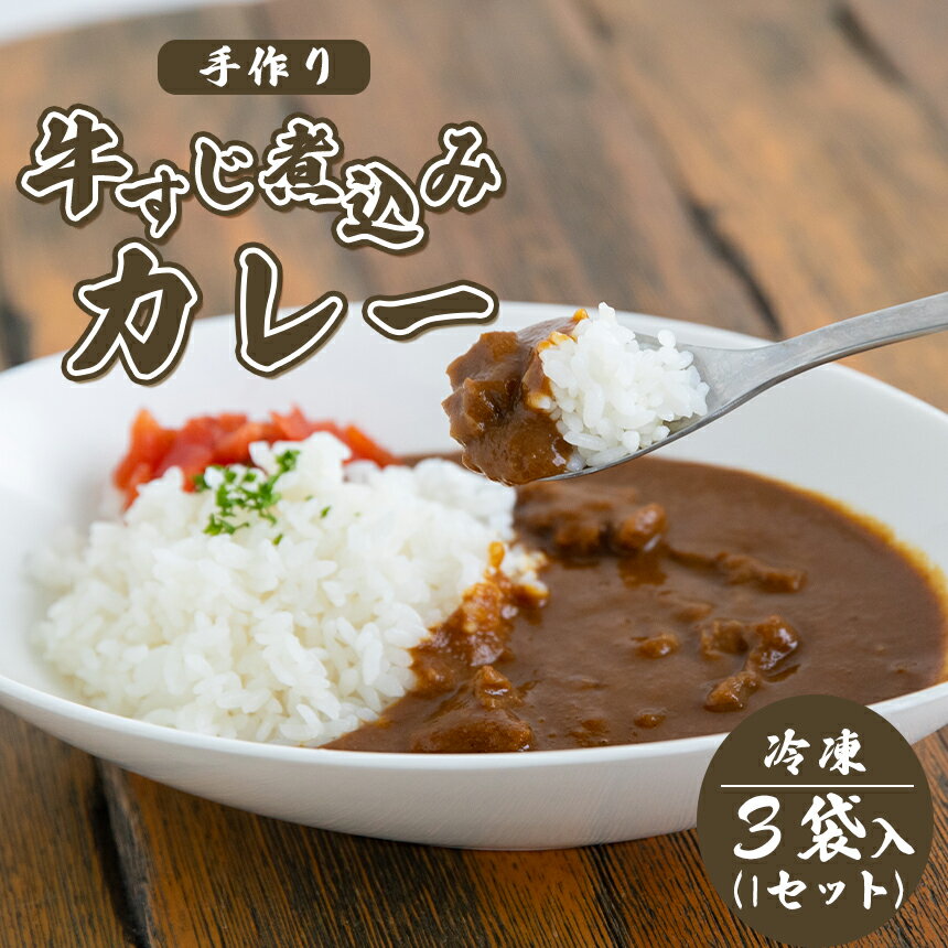 【ふるさと納税】手作り 牛すじ煮込みカレー (冷凍) ｜ グ