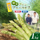 【ふるさと納税】 ( 訳アリ品 ) 甘み感じる 植柳グリーンアスパラガス(春芽・夏芽)500g ~ 1kg ( 先行予約 2025年 6月 ~ 発送予定 )| アスパラ アスパラガス 野菜 山口 美祢 特産品 名産品 旬 500g 750g 1kg