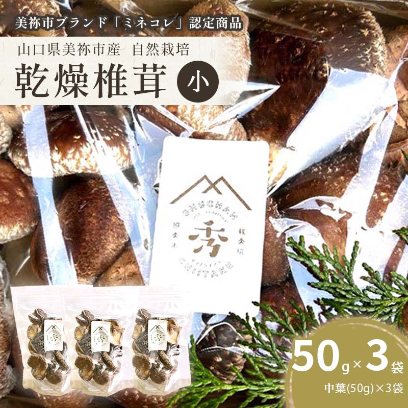 【ふるさと納税】 乾燥椎茸 食感も香りもおいしい 袋(小) 中葉(50g入り)×3袋セット | 乾燥 椎茸 しいたけ きのこ キノコ 肉厚 和食 洋食 出汁 料理 中葉 山口県 山口 美祢市 美祢
