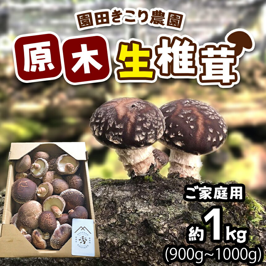 【ふるさと納税】 肉厚椎茸 原木生椎茸 (大きさ・種類いろいろ) ｜ 約900g～1kg しいたけ 椎茸 家庭用 特産品 美祢市 山口県