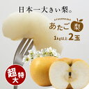 【ふるさと納税】 約1kg の 超特大 あたご梨 2玉 先行予約 2024年 11月～12月末 の 発送 ｜ あたご 愛宕 梨 なし フルーツ くだもの BIG ビッグ 大きい 特産品 美祢市 山口県 秋芳 カルスト台地