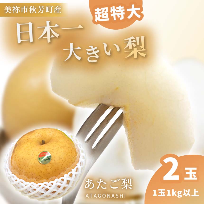 約1kg の 超特大 あたご梨 ( 2玉 ) 先行予約[ 2024年 11月〜12月末 の 発送 ]| 梨 あたご なし フルーツ 果物 くだもの BIG ビッグ 大きい 特産品 美祢市 山口県 美祢 秋芳 秋芳町 カルスト台地 先行予約 期間限定 1kg