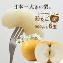 【ふるさと納税】 あたご梨 約 900g 6玉 先行予約 2024年 11月 ～ 12月末 の 発送 ｜ あたご 愛宕 梨 なし フルーツ くだもの BIG ビッグ 大きい 特産品 美祢市 山口県 秋芳 カルスト台地