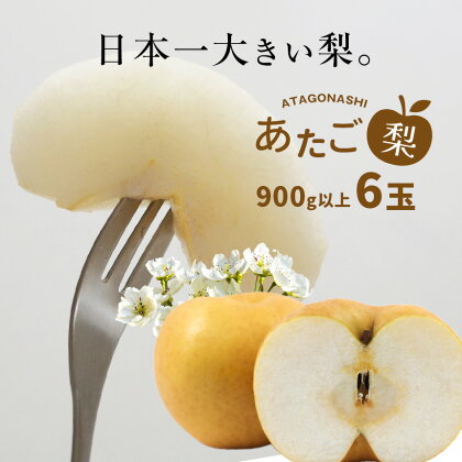 あたご梨 約 900g × 6玉 先行予約〈2024年 11月 ～ 12月末 の 発送 〉｜ あたご 愛宕 梨 なし フルーツ くだもの BIG ビッグ 大きい 特産品 美祢市 山口県 秋芳 カルスト台地