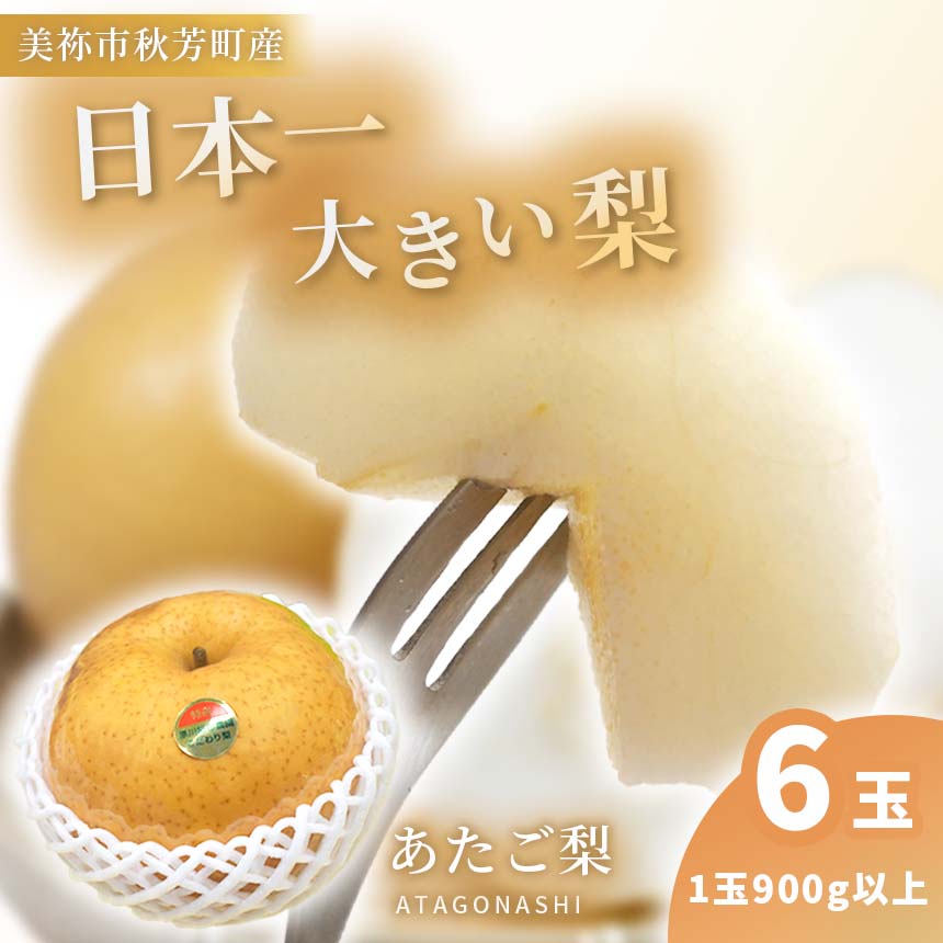 【ふるさと納税】 あたご梨 約 900g × 6玉 先行予約