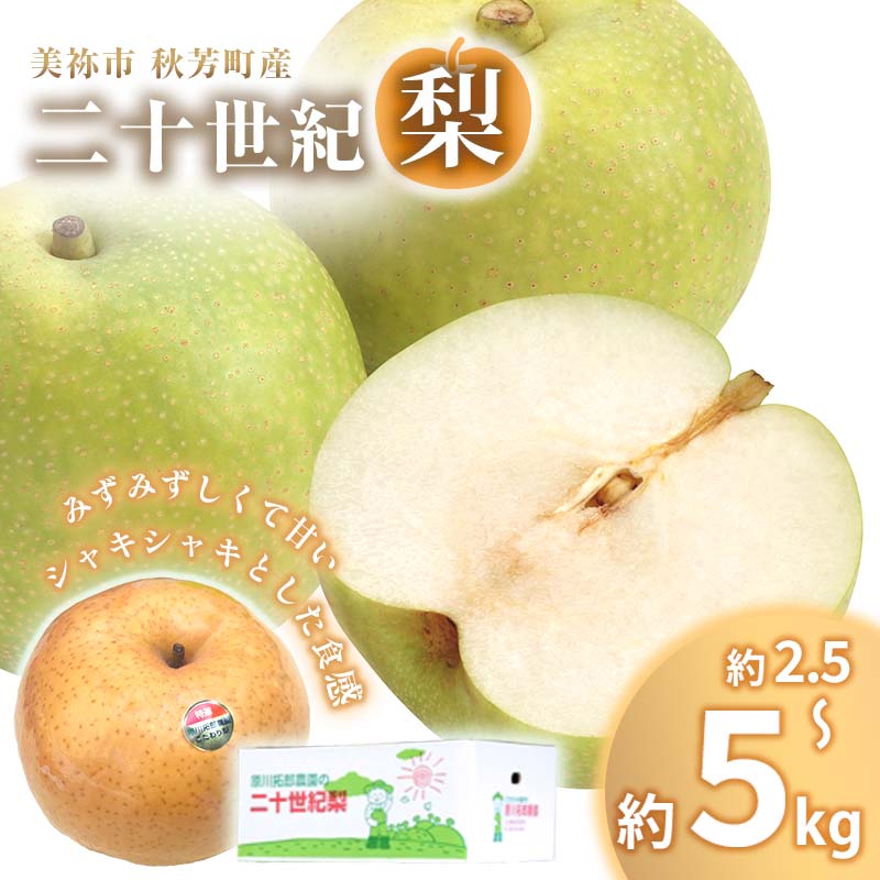 【ふるさと納税】 美祢市 秋芳町 産 二十世紀梨 5 ～ 6玉 ( 約2.5kg以上 ) / 約 5kg 先行予約〈 2025年9月上旬 ～ 9月末頃 発送予定〉｜ 二十世紀 なし 梨 フルーツ 大きい BIG サイズ 特産品 美祢市 美祢 山口県 山口 秋芳町 秋芳 カルスト台地 先行予約のサムネイル