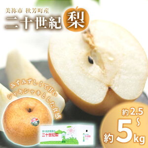 【ふるさと納税】 美祢市 秋芳町 産 二十世紀梨 5 ~ 6玉 ( 約2.5kg以上 ) / 約 5kg 先行予約〈 2025年9月上旬 ~ 9月末頃 発送予定〉| 二十世紀 なし 梨 フルーツ 大きい BIG サイズ 特産品 美祢市 美祢 山口県 山口 秋芳町 秋芳 カルスト台地 先行予約