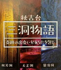 【ふるさと納税】三洞周遊共通チケット「秋吉台三洞物語」（大人）｜ 周遊 入洞 チケット 洞窟 美祢市 山口県 秋芳洞 大正洞 景清洞