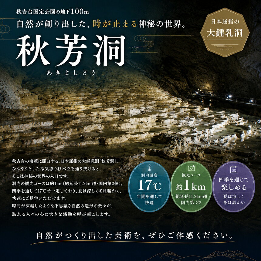 【ふるさと納税】三洞周遊共通チケット「秋吉台三洞物語」（大人） ｜ 周遊 入洞 ...