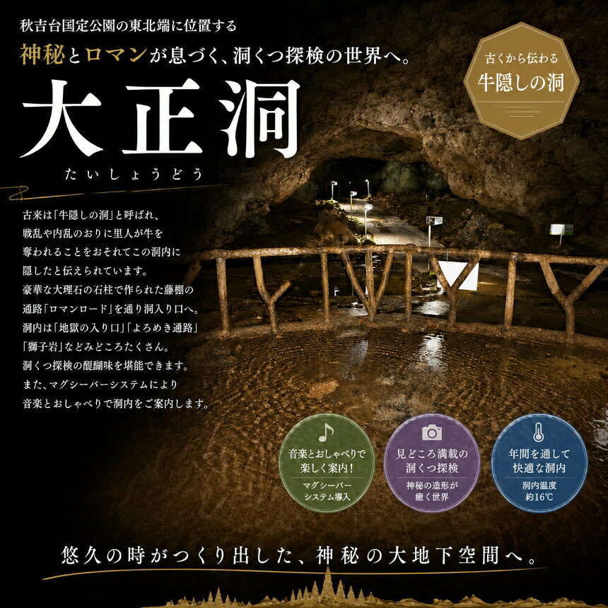 【ふるさと納税】三洞周遊共通チケット「秋吉台三洞物語」（大人） ｜ 周遊 入洞 ...